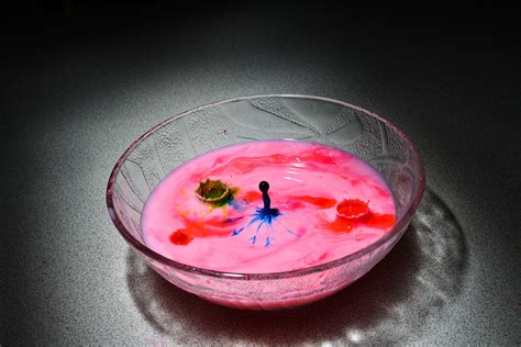 무료 이미지 액체 꽃잎 유리 사발 빨간 생기게 하다 색깔 음주 담홍색 조명 모양 매크로 사진