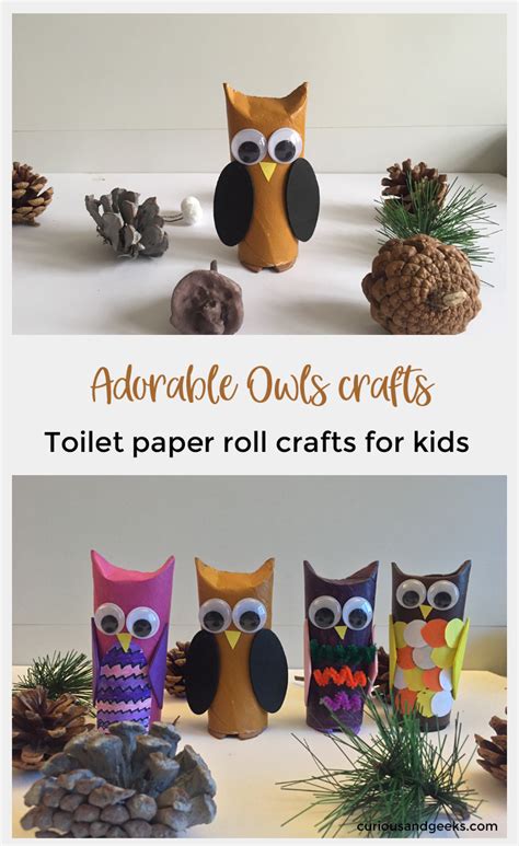 Toilet Paper Roll Owls An Owlsome Craft For Kids Curious And Geeks