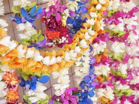 Assorted Hawaiian Leis, Hanging In Bright, Colorful Strands, Studio ...