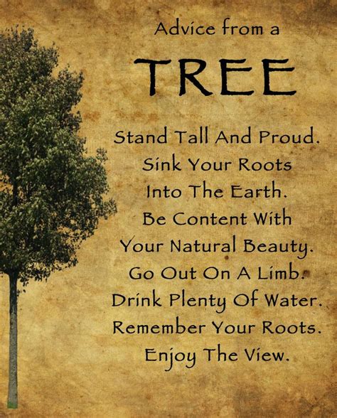 Advice From A Tree In 2020 Tree Quotes Tree Poem Natural Beauty Quotes
