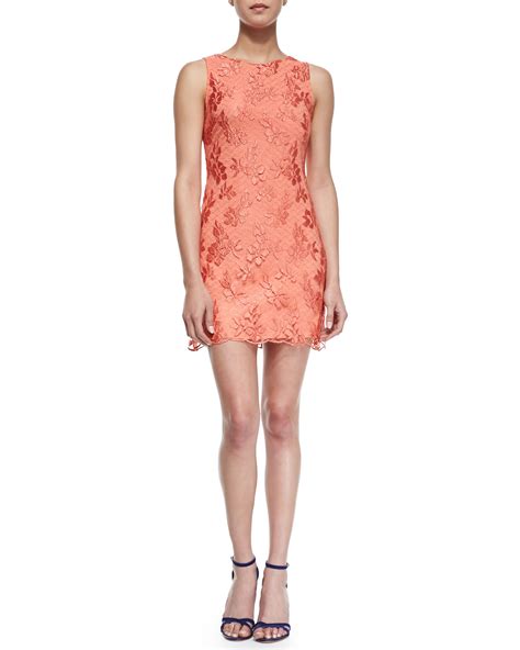 Alice Olivia Dot Lace Sleeveless Dress