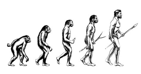 Flipfact February 12 2020 Did Humans Really Evolve From Apes