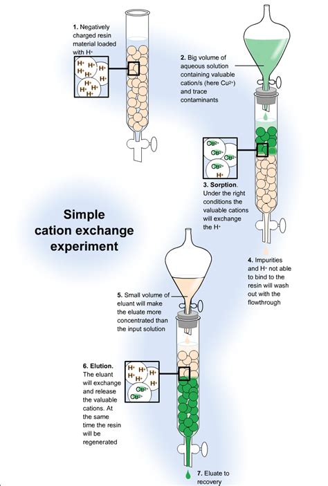 Cation Exchange Chromatography Explained Design Talk
