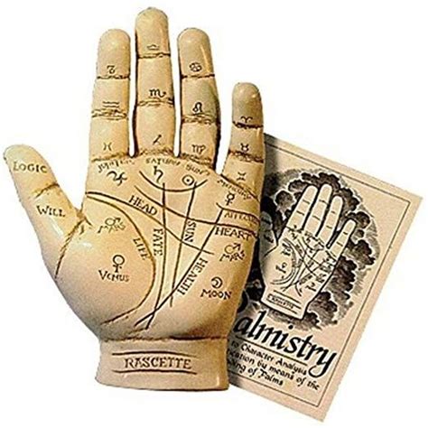 Palmistry Hand Model Resin Sculpture Fortune Telling Palm Reading With