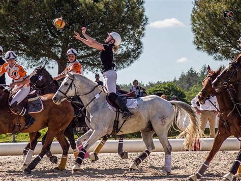 7 Unusual Equestrian Sports Youve Never Seen Before Seriously Equestrian