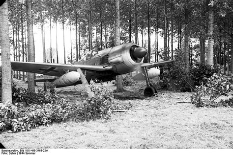 Asisbiz Focke Wulf Fw 190a Bundesarchiv Bild 101i 496 3463 22a