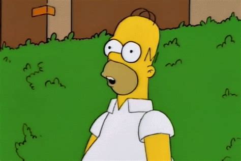 Homero Simpsons  Homero Simpsons High Discover Share S Sexiz Pix