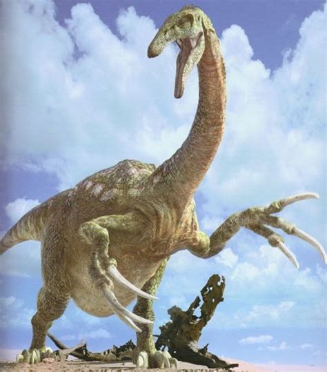 Therizinosaurus Pictures And Facts The Dinosaur Database