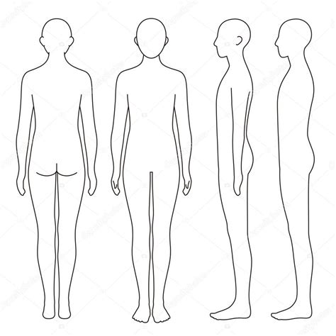 Human Body Model Outline Front Back Side Vector File Set Vector De Stock De Niow