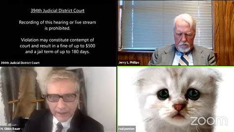 A courtroom hearing in texas is going viral after one of the participants could not figure out how to turn off the cat filter during the zoom meeting. 'Good laugh for the country' - lawyer in Zoom cat video ...