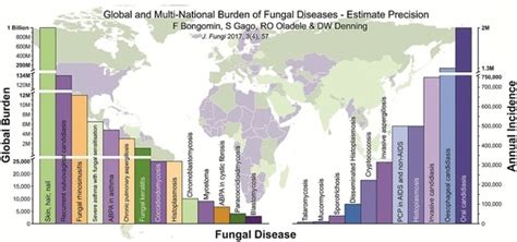 Jof Free Full Text Global And Multi National Prevalence Of Fungal