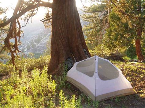 With soft grassy campsites shaded by hemlock and cedar trees, you'll be able to soak up. Dispersed Camping in the U.S. National Forests