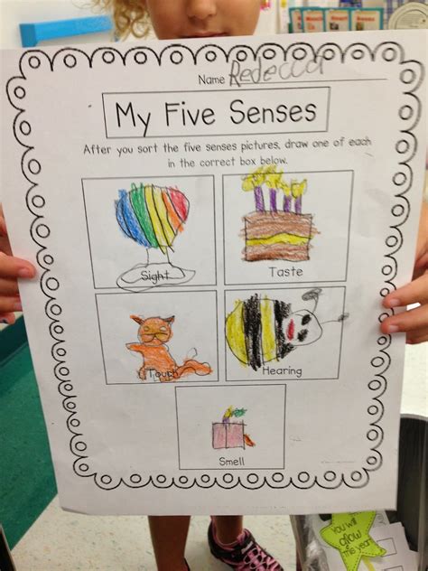 Kindergarten Smiles Five Senses Senses Activities Social Studies
