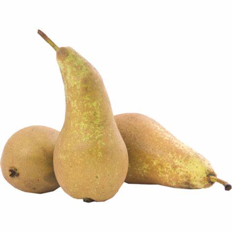 Груша конференция диета Груша «Конференция» крупная купить в Минске: недорого в интернет Груша «Конференция» крупная купить в Минске: недорого в интернет Груша конференция диета