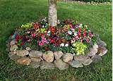 Flower Bed Plants For Shade Images
