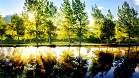 壁纸 阳光 树木 景观 湖 水 性质 反射 公园 早上 池塘 秋季 叶 花 厂 季节 林地 木本植物