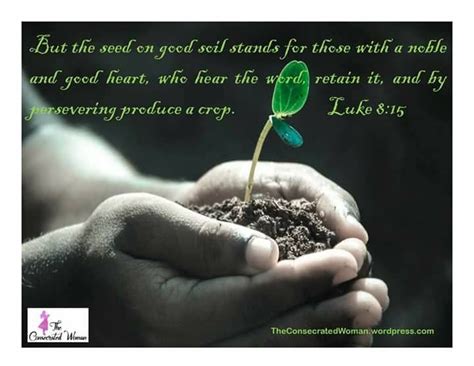 Planting Seeds Verse Of The Day Daily Bible Verse Good Heart
