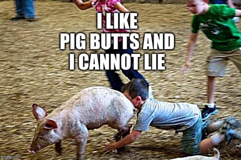 Pig Butts Imgflip