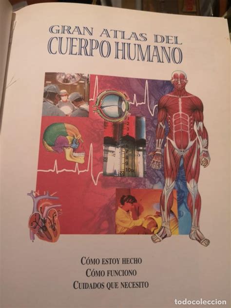 Gran Atlas Del Cuerpo Humano Comprar Libros De Medicina Farmacia Y