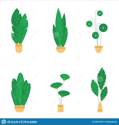 Set House Plants And Flowers In Ceramic Pots Stock Vector