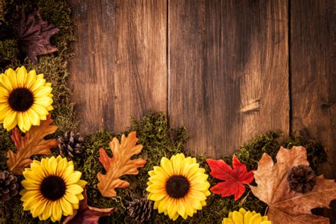 Autumn Decoration Background With Leafs Stock Photo Download Image
