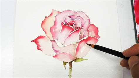 Watercolor Painting Flowers For Beginners At Getdrawings Free Download