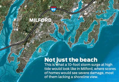 Milford Seeking Input On Trees Flooding And More In New Survey