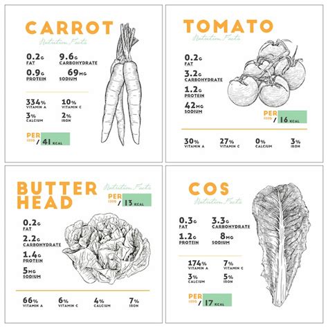 Nutrition Facts Of Vegetable Set Vector Premium Download