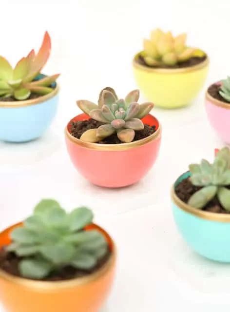30 Gorgeous Diy Succulent Planters You Need To Make
