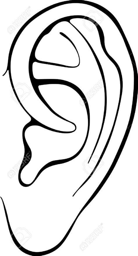 Clip Art Free Ear 20 Free Cliparts Download Images On Clipground 2022