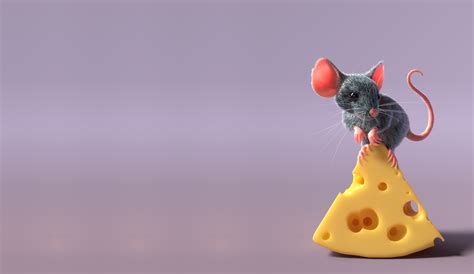 Download Cheese Rodent Animal Mouse Hd Wallpaper