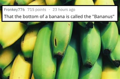 23 Absurd Facts People Believed For An Inexcusably Long Time Dumb