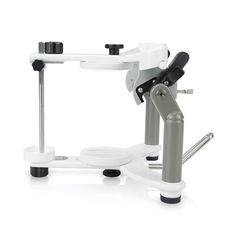 The articulator has average settings. Stratos 100 Basic Model 'USA' | Removable | Ivoclar ...