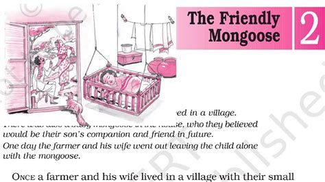 The Friendly Mongoose Story Hindi Translation Ncert Class English