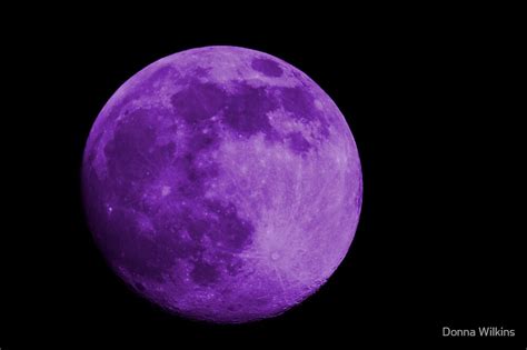 Lavender Moon By Donna Wilkins Redbubble