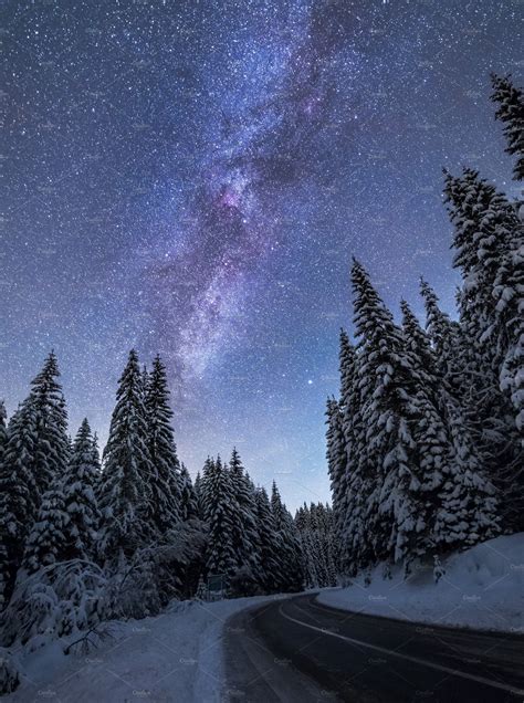 Winter Forest At Night ~ Nature Photos ~ Creative Market