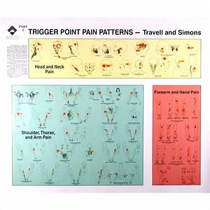 Trigger Point Patterns Charts Bytravell And Simons Physio Needs