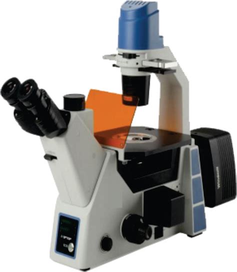 Inverted Trinocular Tissue Culture Microscope Wtc 10500fl Weswox