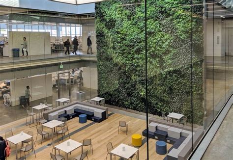 How Biophilic Design In Meeting Spaces Can Boost Productivity