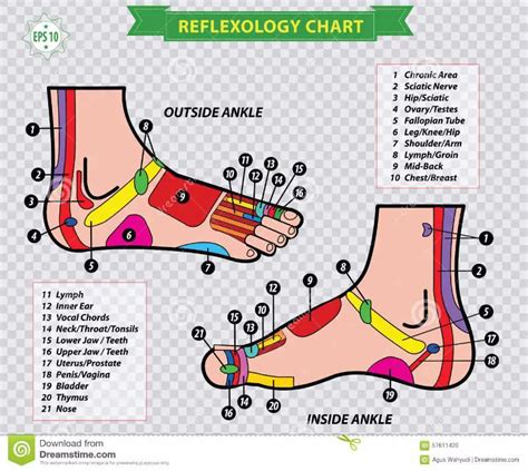 31 gráficos y mapas imprimibles de reflexología podal Mundo Plantillas