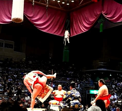 日本の国技大相撲の力士とは