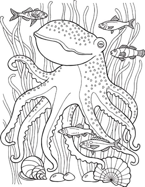 Animaux Marins Coloriage Monde Sous Marin Coloriage