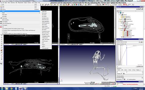 fossil ct scan data analyses supplementary information