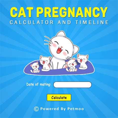 Cat Pregnancy Calculator And Timeline Calendar Petmoo Hot Sex Picture