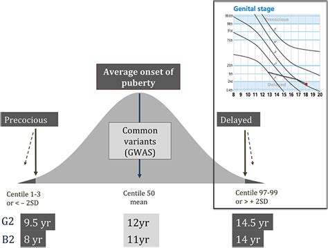 Frontiers The Genetic Basis Of Delayed Puberty