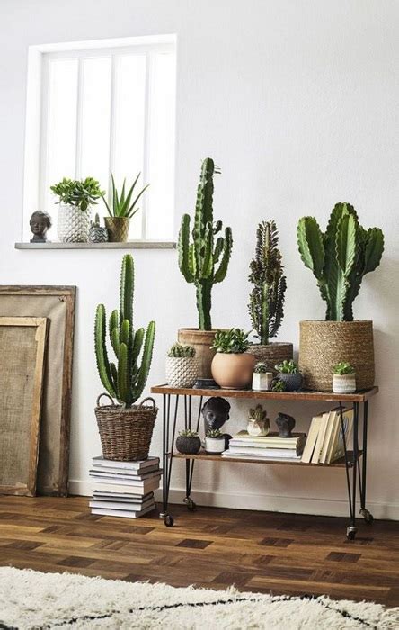 Nomi, caratteristiche e consigli per scegliere le migliori piante grasse da appartamento, sapere come curarle. 15 Indoor Garden Apartment Design Ideas For Small Space ...