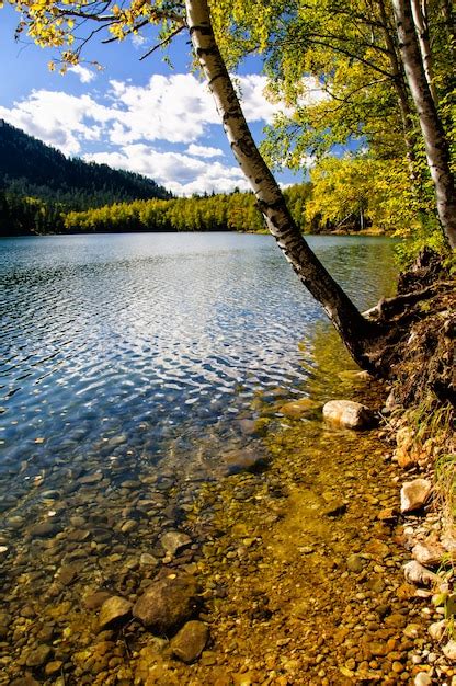 Premium Photo Mountain Autumn Green Siberia Lake With Reflection