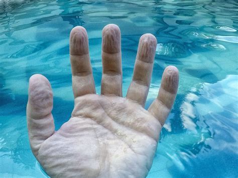 Why Do Fingers Get Wrinkly After A Long Bath Or Swim A Biomedical Engineer Explains