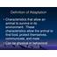 PPT  Definition Of Adaptation PowerPoint Presentation Free Download