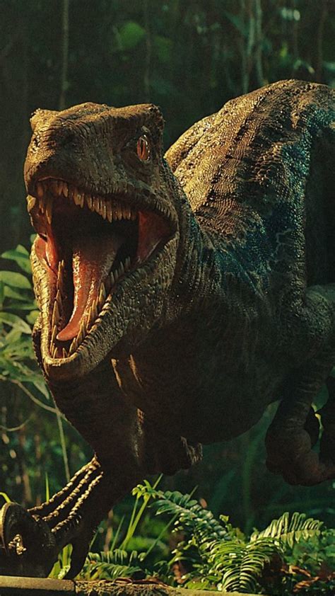 12 Velociraptor Facts For Kids 2023 Must Read